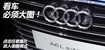 e国产永久,探索中国电子产业的无限可能